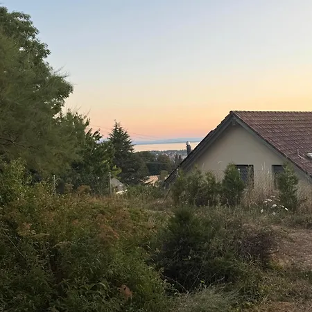 Jm Garden * Crissier
